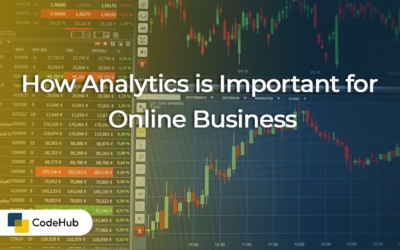 How Analytics is Important for Online Business ?