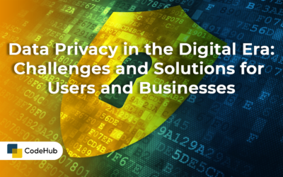 Data Privacy in the Digital Era: Challenges and Solutions for Users and Businesses