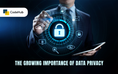 The Growing Importance of Data Privacy and Protection